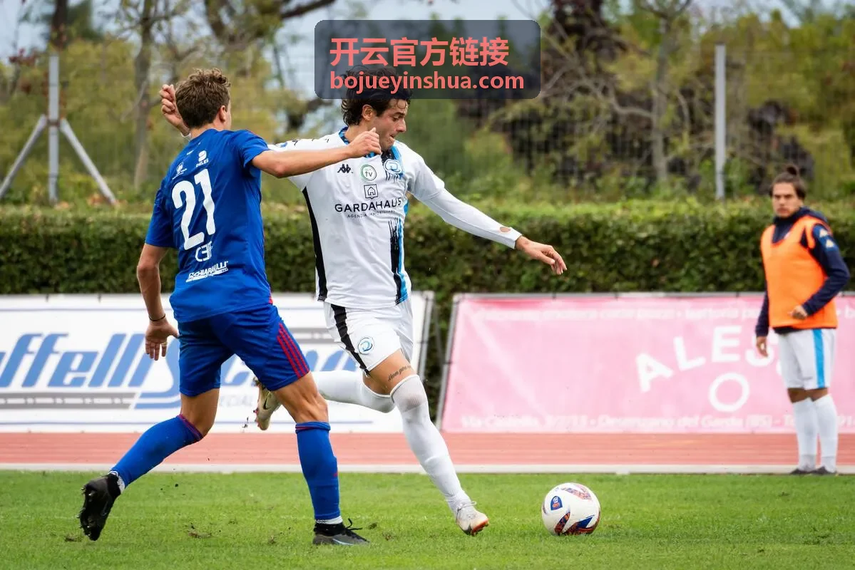 开云官方链接图文对照手册封面