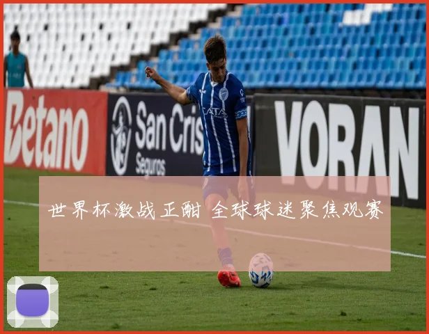 世界杯激战正酣 全球球迷聚焦观赛
