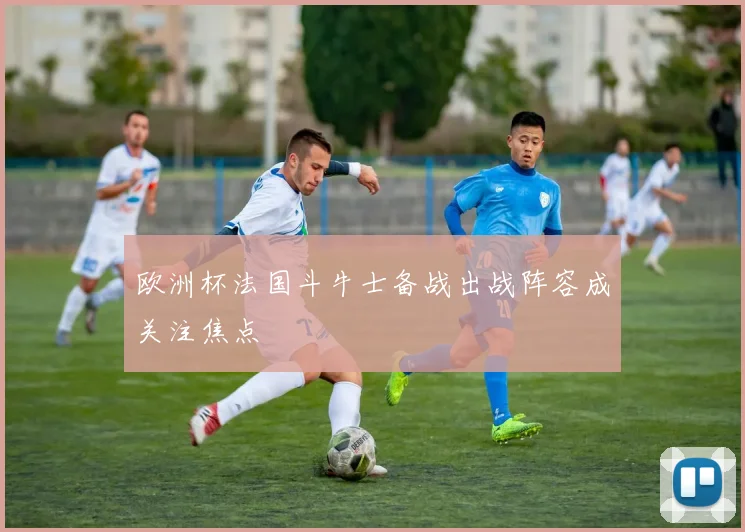 欧洲杯法国斗牛士备战出战阵容成关注焦点