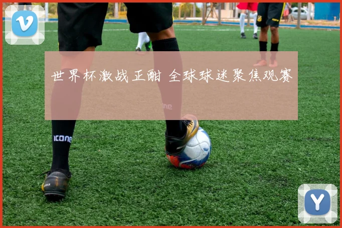 世界杯激战正酣 全球球迷聚焦观赛