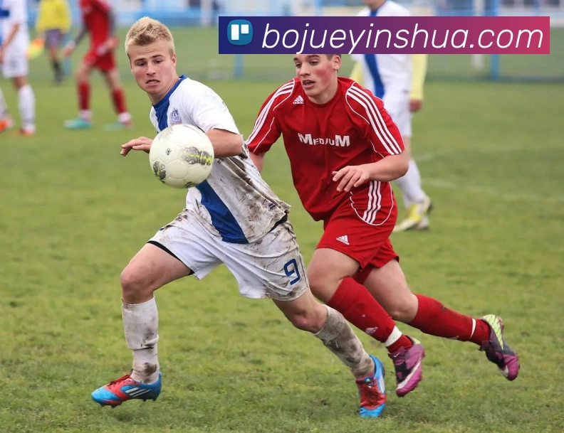 leyu乐鱼官方在线登录入口平台生态图